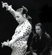 Flamenco Music and Dance