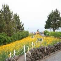 Jeju Island, Ibarat Bali di Korea Selatan