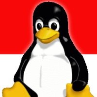 2011, Lembaga Pemerintah Sudah Harus Cicipi Open Source