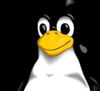 Timor Leste Lebih Serius Belajar Open Source