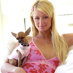Paris Hilton Bangun Villa Mewah Untuk Anjing
