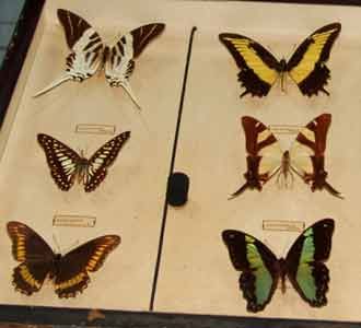 Melihat Flora-Fauna Maroko