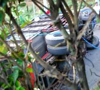 Truk Bermuatan Udang Terbalik