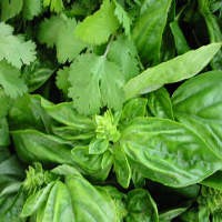 Rempah Penangkal Antioksidan yang Dahsyat