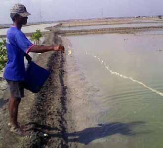 Berkah Hujan di Musim Kemarau