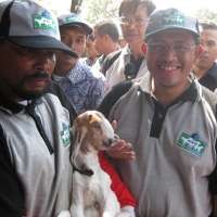 Jawa Barat Akan Dibangun 11 Pembibitan Domba