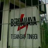 PLN Terbitkan Obligasi Semester II-2009