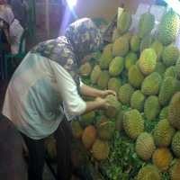 Panen Durian di Pekanbaru, Pedagang Dapat Durian Runtuh