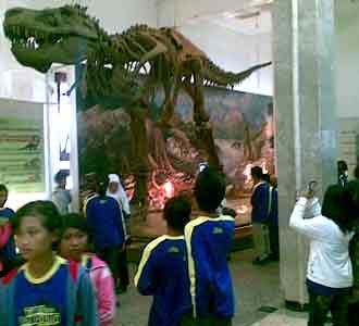 Museum Geologi Dipadati Pengunjung