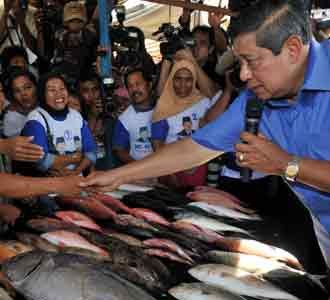SBY Borong Ikan