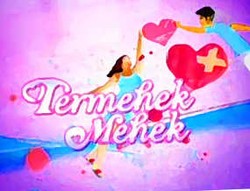 Termehek-mehek & Suami-suami Takut Istri Program Televisi Terburuk