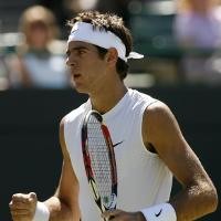 Del Potro Meyakinkan, Davydenko Mudah