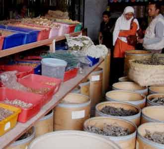 Toko Jamu Babah Kuya