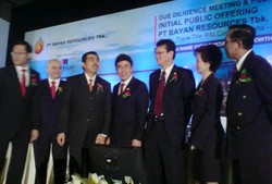 Bayan Bidik Pendapatan Tumbuh 33% di 2009