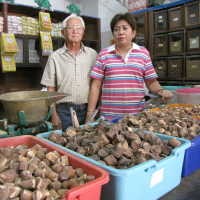 Menjual Jamu dari Sabang Sampai Merauke 