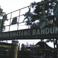 Liburan, Banyak Binatang Yang Lahir di Kebun Binatang Bandung