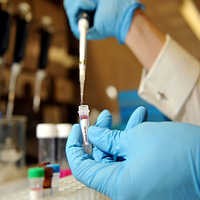 Produksi Vaksin Flu Babi Berskala Besar Telah Dimulai