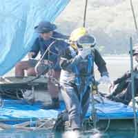 Armatim Gelar Latihan Selam Angkat Bom Udara