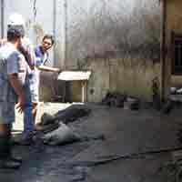 BPLS Kewalahan Tangani Semburan Baru di Siring Barat