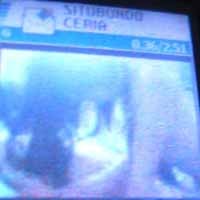 Video Mesum Situbondo Ceria Hebohkan Warga Kota Santri