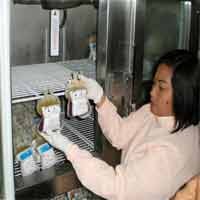 20 Kantong Darah Terinfeksi Penyakit Berbahaya