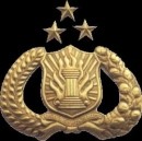 Mobilitas Tinggi, Kapolda Jateng Raih Penghargaan MURI