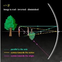 Software Lokal pun Mampu Keliling Dunia