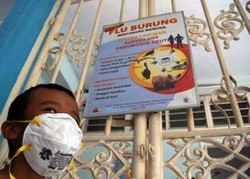 Flu Burung
