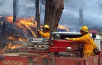 Perumahan di Mangga Besar XIII Terbakar