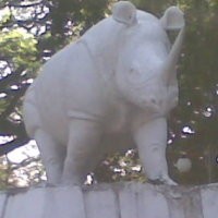 Perajin Boneka Badak Putih Harap-harap Cemas