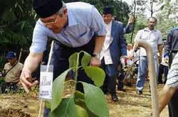 Menhut Jadi Saksi Nikah, Mas Kawin 500 Bibit Jati