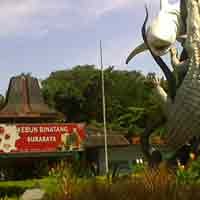 Puncak Liburan, Lalu Lintas Sekitar KBS Padat