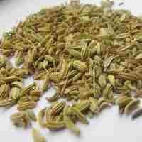 Adas Manis, si Mungil yang Kaya Manfaat