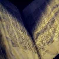 Alkitab Tertua di Dunia Dionlinekan