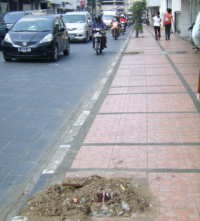 Puluhan Pohon di Braga Hilang