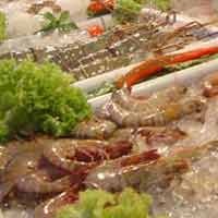 Marak Steven Jhonson Syndrome, Hindari Polusi & Fast Food