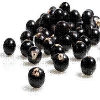 Manfaat Hebat si Acai Berry