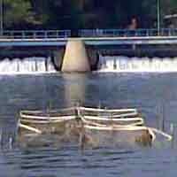 Sampah Jadi Penyebab Macetnya Proyek Senilai Rp 100 Juta