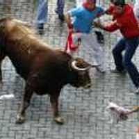 Seorang Pria Tewas Ditanduk Banteng dalam Sebuah Pesta