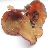 Gelugur, Asam Wajib untuk Gulai