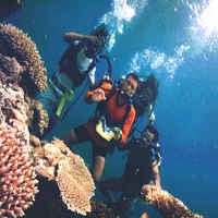 Gaet Wisatawan, Jateng Poles Infrastruktur di Pulau Karimunjawa