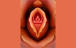 Kanker Vulva