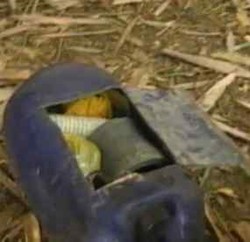 Densus 88 Temukan Bom di Cilacap