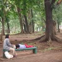 Pembuatan Pagar Taman Cilaki Dilanjutkan