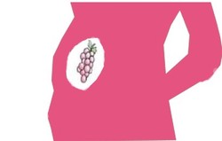 Hamil Anggur (Mola Hidatidosa)