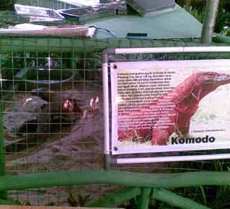 Pameran Flora dan Fauna Akan Digelar