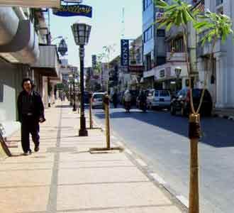 Pohon di Jalan Braga Berganti