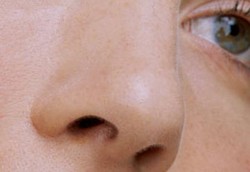 Hidung Mampu Mendeteksi Ancaman