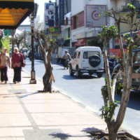 Tempat Kejutan untuk Si Karet Benggol