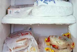 Pintar Menggunakan Makanan Beku 